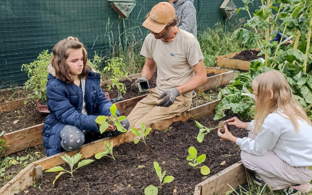 Atelier Jardin : Mercredi 6 novembre